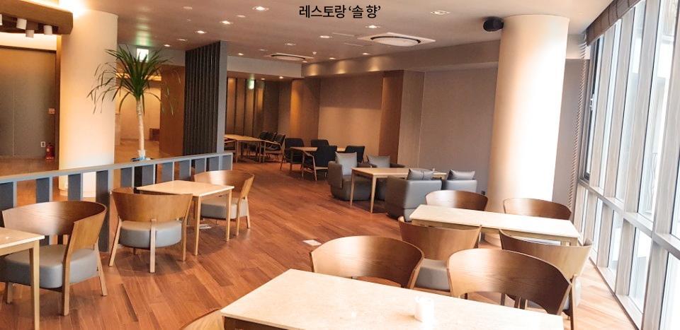 Pine Forest Jeongseon Alpine Resort Extérieur photo