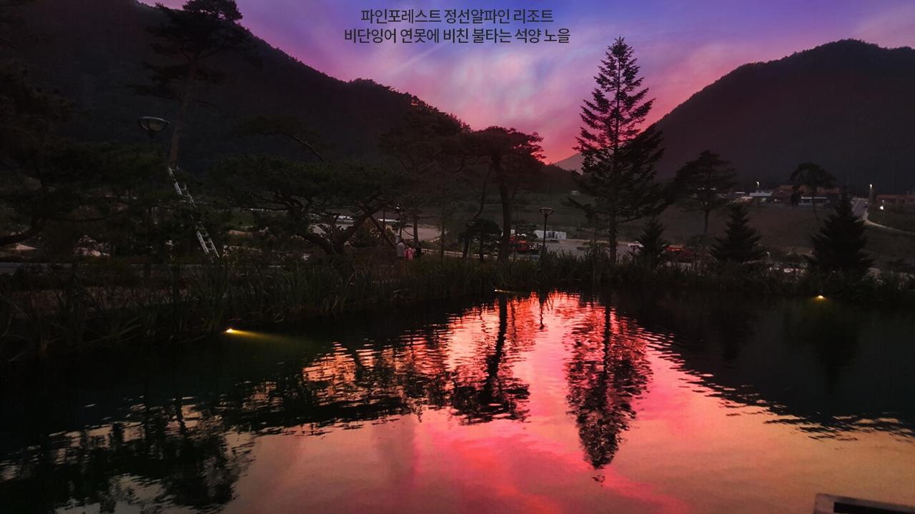 Pine Forest Jeongseon Alpine Resort Extérieur photo